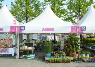 (유)송이릴리 농업회사법인