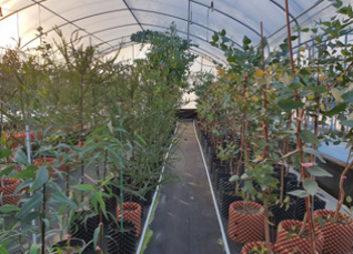 농업회사법인 ㈜좋은나무