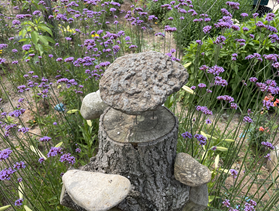 다드림영농조합법인