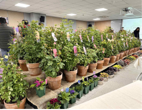 대림원예종묘 농업회사법인(주)