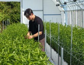 라누벨 스튜디오