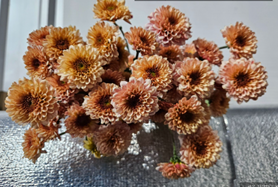 명정원예영농조합