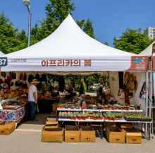 해피플래닛(아프리카식물)