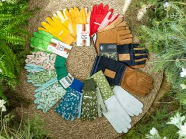 주식회사 세븐가드너스