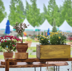 SSOO 작은나무작업실