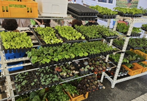 (사)전주시도시농업연구회