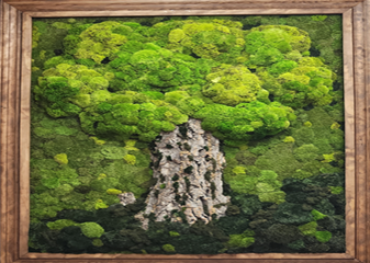 전북화훼유통협동조합/전주양재동꽃시장