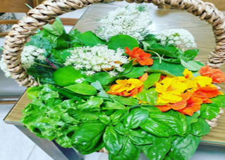 전주도시농부&천년누리